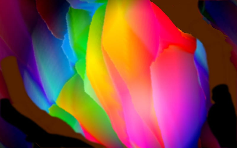 Tulips Night Out, fancy abstract tulip, orange, co11ie, black, rainbow colors, homemade abstracts, blue violet, green, purple, multicolored, flower, sing1e, golden yellow, deep rose pink, HD wallpaper