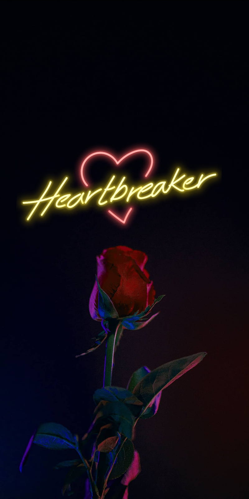 Heartbreaker, heart, breaker, rose, relationships, love, you, HD phone wallpaper