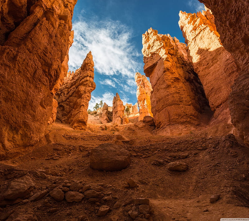 Bryce Canyon Utah, blue, nature, orange, HD wallpaper