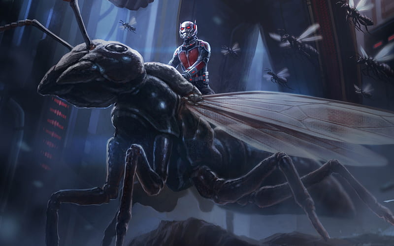 Ant Man Artwork, art, artist, ant-man, movies, artwork, HD wallpaper