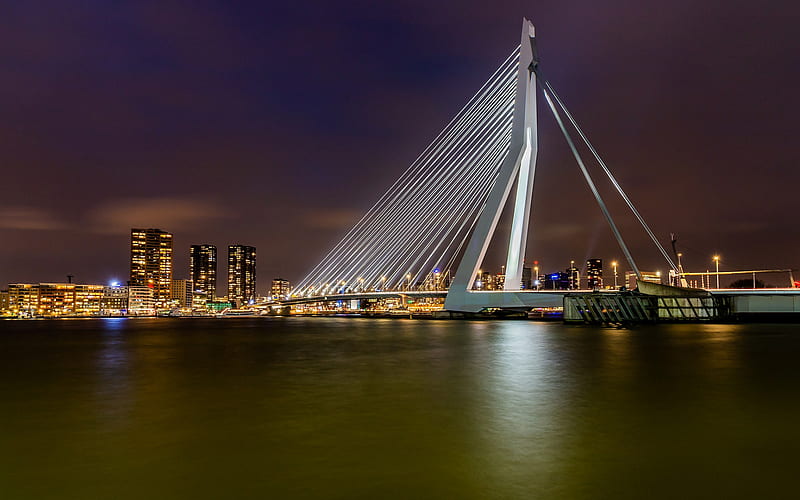 Erasmusbrug, Rotterdam, Erasmus Bridge, evening, cityscape, Netherlands, HD wallpaper