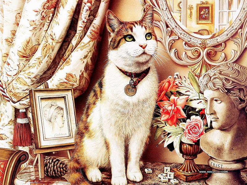 Victorian cat, pet, victorian, cat, home decoration, HD wallpaper