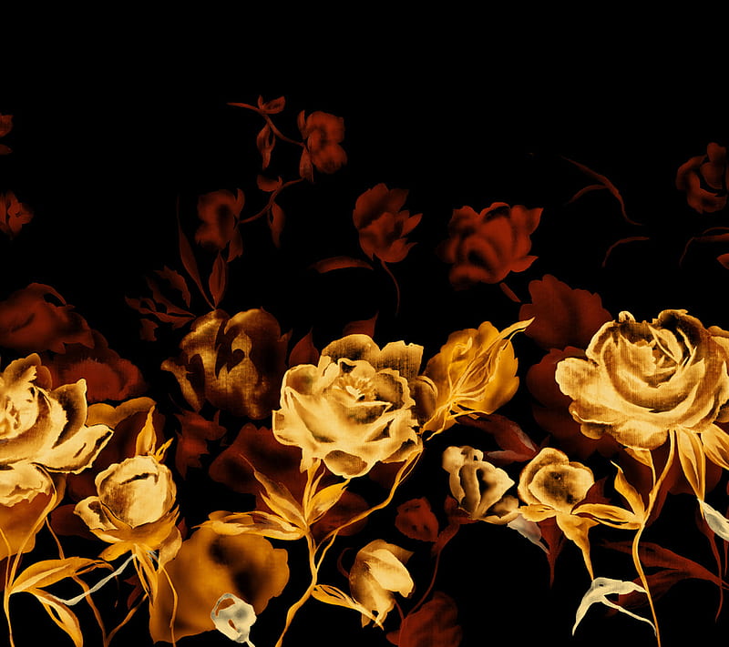 Flowers, black, gold, HD wallpaper