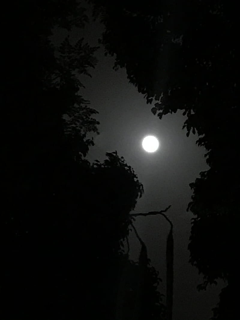 Moon, darkness, night, road, shadows, snow, space, star, HD phone ...