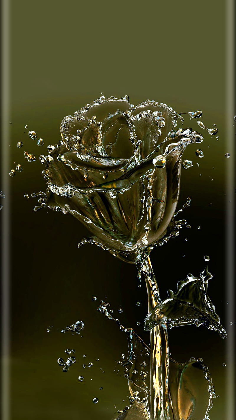 Rose water, desenho, flower, flower, HD phone wallpaper | Peakpx