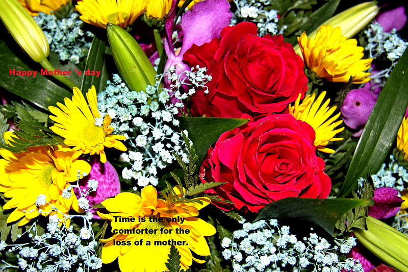 Time is the only comforter for the loss of a mother., Yellow, red, graphy, green, Roses, Flowers, white, HD wallpaper