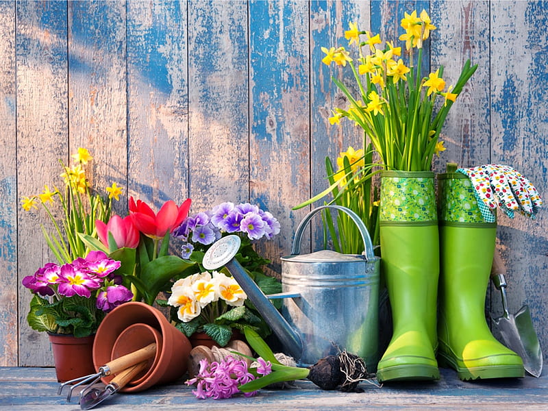 Easter Break, flowers, gardener utensils, can, shoes, pots, HD wallpaper