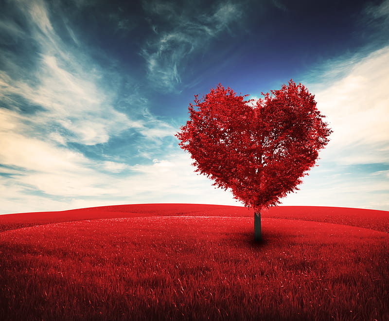Happy valentine day, Valentine, Tree, Love, Heart, HD wallpaper