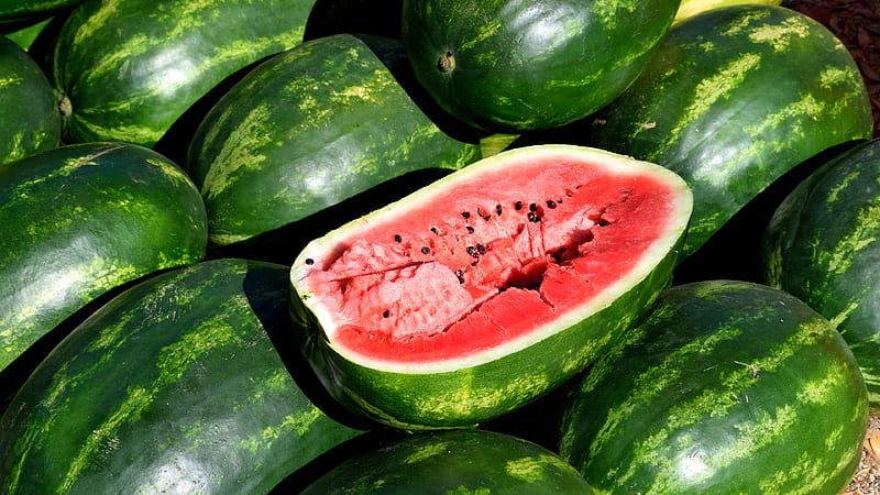 Fruits, Watermelon, HD wallpaper