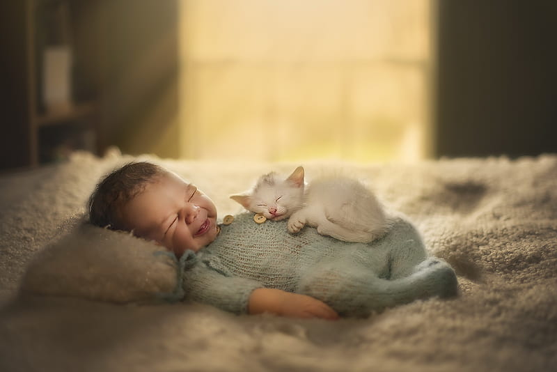 :-), cute, sleep, copil, child, smile, cat, baby, kitten, pisici, HD wallpaper