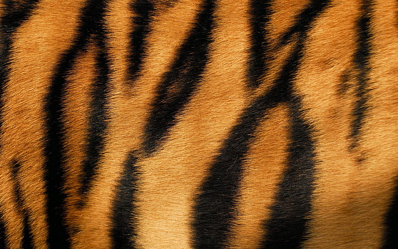 tiger skin wool textures, orange black background, tiger textures, black orange stripes, macro, tiger skin texture, tiger backgrounds, HD wallpaper