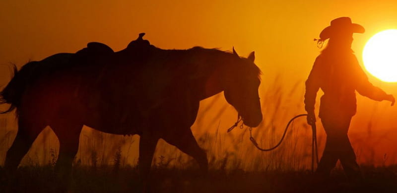 Sunset Walk, sun, cowgirl, silhouettes, sunset, horse, field, hat, HD wallpaper