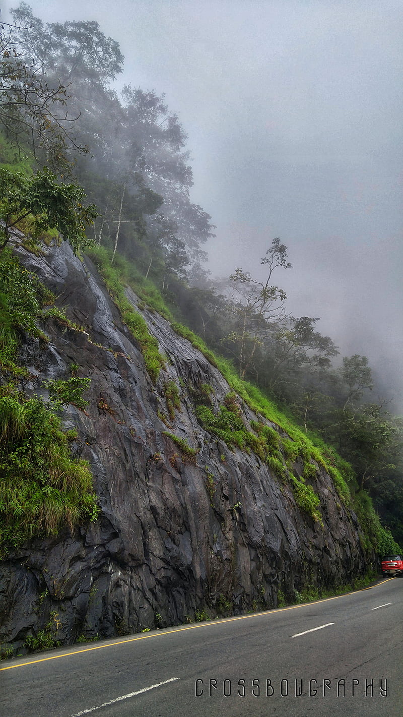 Of Wayanad HD wallpaper | Pxfuel