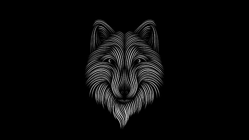 Fox, black, minimalistic, khaled reese, vulpe, HD wallpaper