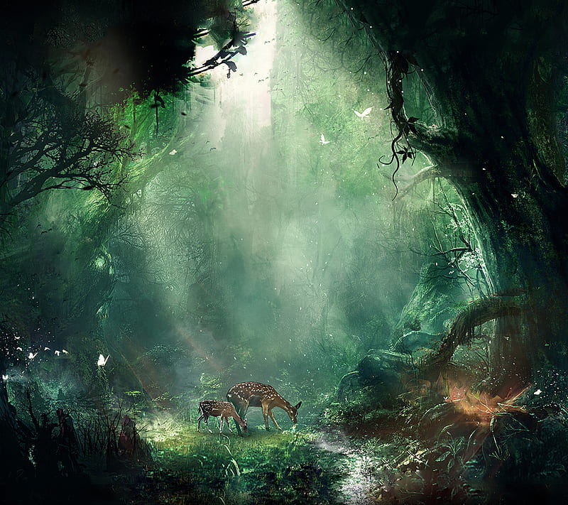 Bambi Jungle, HD wallpaper