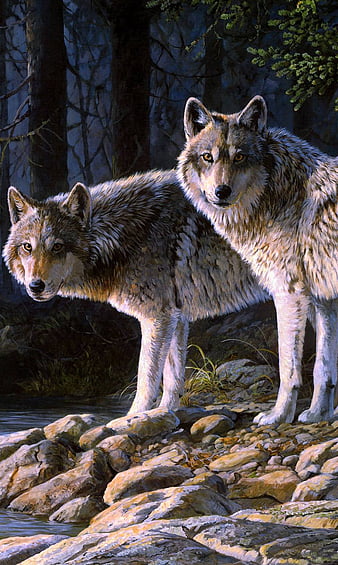 Wolves, art, vara, running, lup, summer, wolf, pictura, couple ...