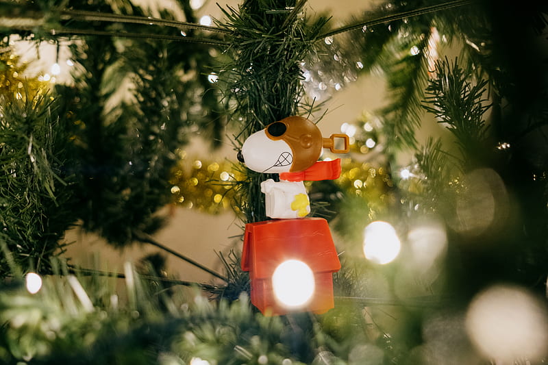 brown bear plush toy hanging on green christmas tree, HD wallpaper
