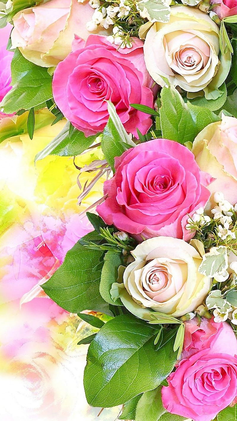 Roses, flowers, nature, HD phone wallpaper | Peakpx