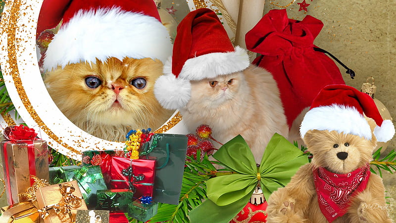 Furry with Santa Hats, furry, santa claus hats, feliz navidad, christmas, firefox persona, cute, feline, whimsical, presents, teddy bear, cats, gifts, HD wallpaper