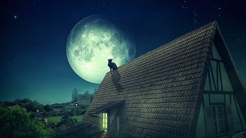 Full moon, luminos, moon, fantasyart0102, pisici, cat, night, roof, fantasy, moon, kitten, HD wallpaper