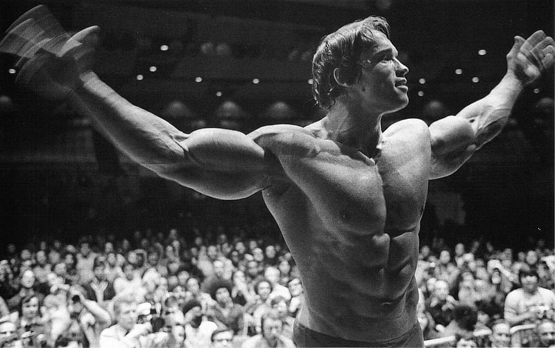 Arnold Schwarzenegger Bodybuilding Poster, HD wallpaper | Peakpx