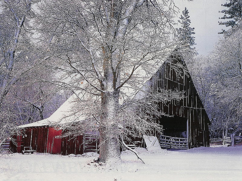 Untitled , architecture, farm, snow, barns, winter, ksa, HD wallpaper
