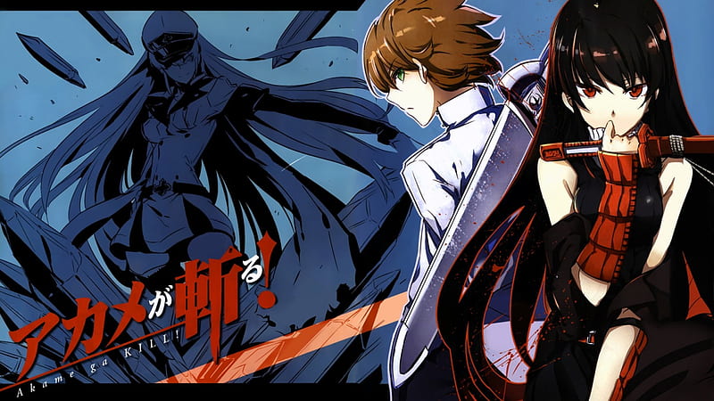 Akame Ga Kill, tatsumi, akame, anime, HD wallpaper