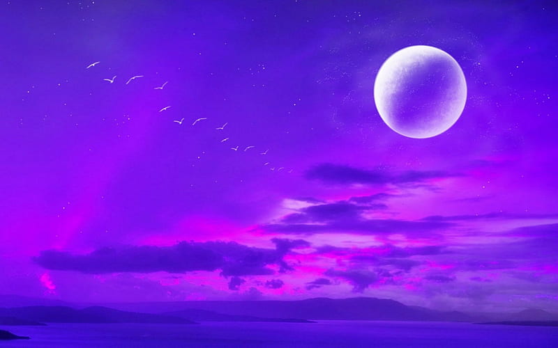Full Moon, stars, cloud, purple, bird, sky, pink, night, HD wallpaper