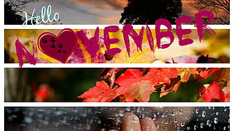 Hello November  Hello November Birtay Month Fall Birtay HD wallpaper   Pxfuel