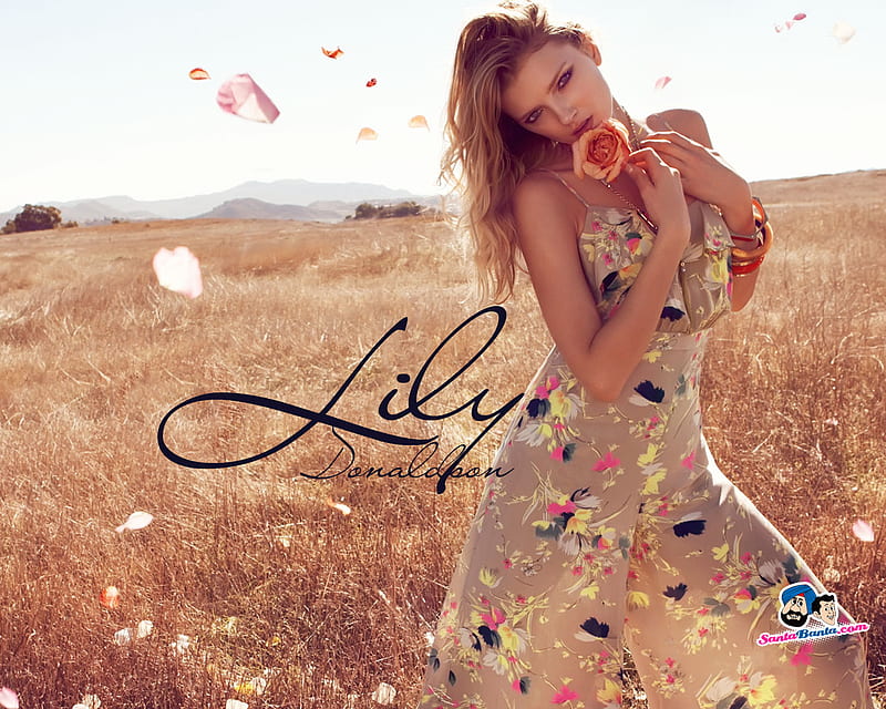 Lily Donaldson, models, model, sex, beauty, bonito, women, HD wallpaper