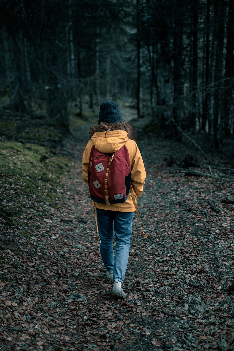 person, forest, loneliness, nature, walk, HD phone wallpaper