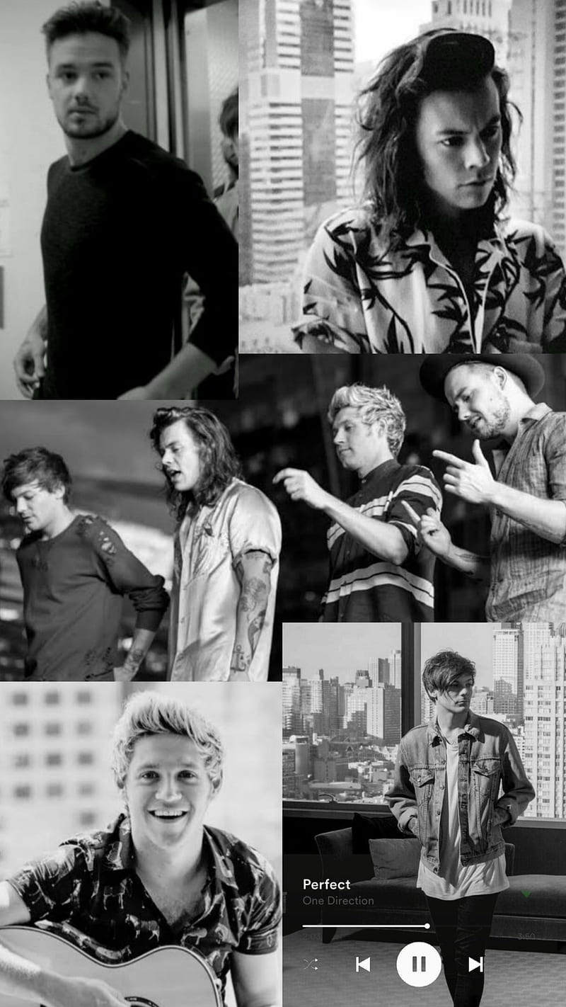 Perfect, harry styles, liam payne, louis tomlinson, mitam, niall horan, one direction, HD phone wallpaper