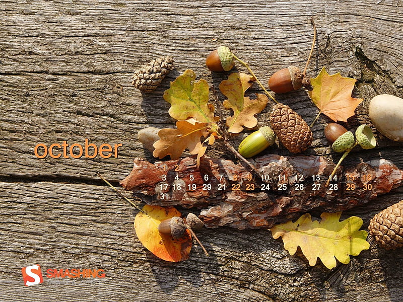 Cheerful Autumn Days-October 2012 calendar, HD wallpaper