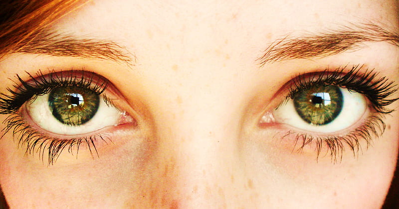 Green Eyes, lashes, eyes, green, brow, HD wallpaper