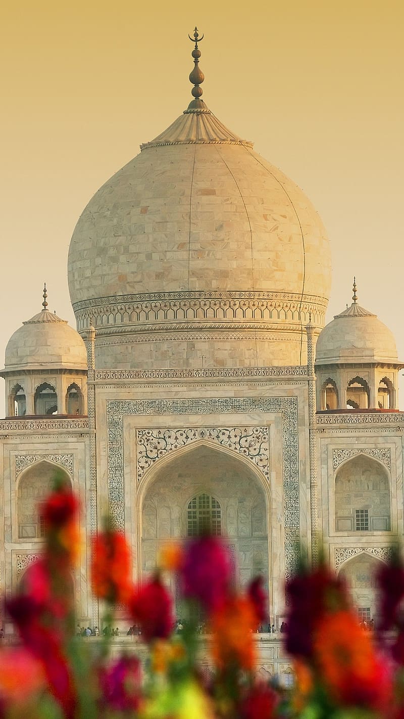 Taj Mahal With Flowers, taj mahal, flowers, ivory white marble, mausoleum, monument, HD phone wallpaper