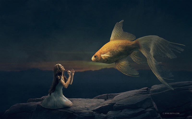 Gold fish, luminos, orange, fish, golden, black, creative, fantasy, girl, rafy a, summer, dream, HD wallpaper