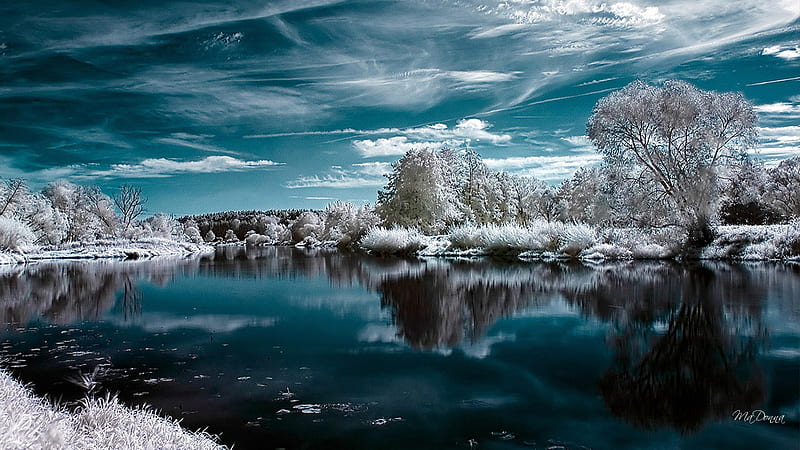 January Cold, trees, sky, clouds, lake, winter, cold, cyan, water, ice, reflection, blue, frost, HD wallpaper