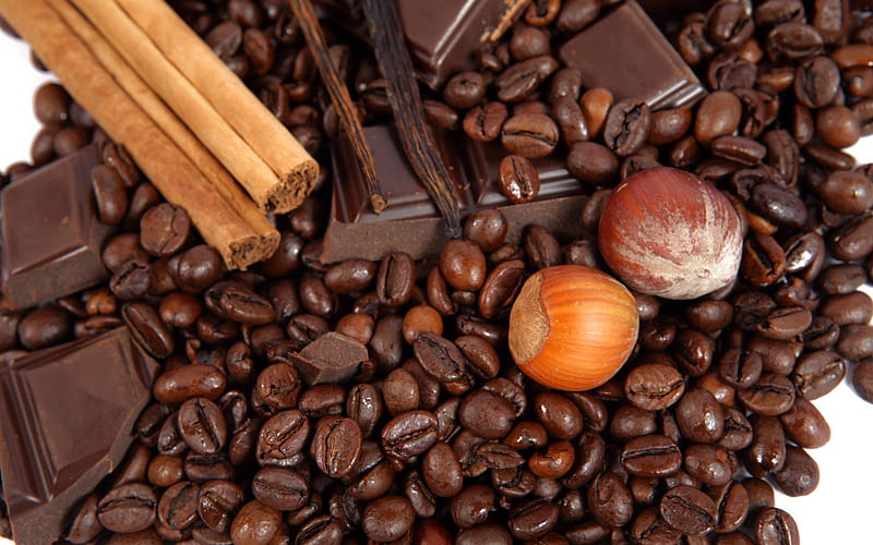Chocolate and something more, hazelnuts, dark, chocolate, cinnamon, coffee beans, HD wallpaper