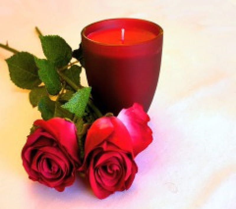 Romantic, red, candle, still life, romantic, flowers, roses, HD