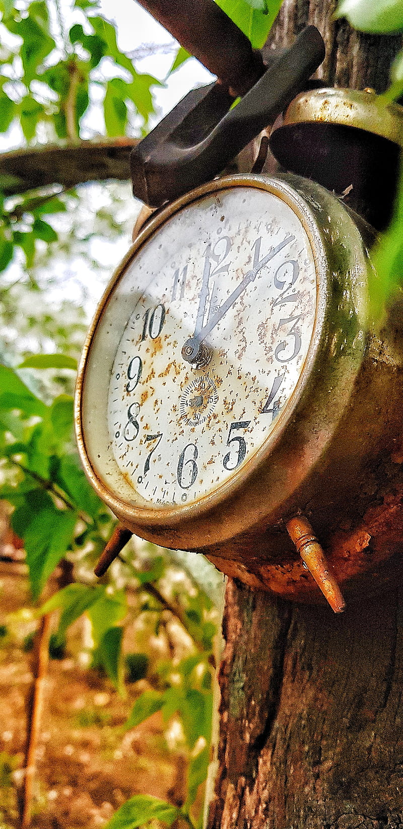 Old Clock Nature , artistic, classic, desenho, oldschool, tales, watch, watches, HD phone wallpaper