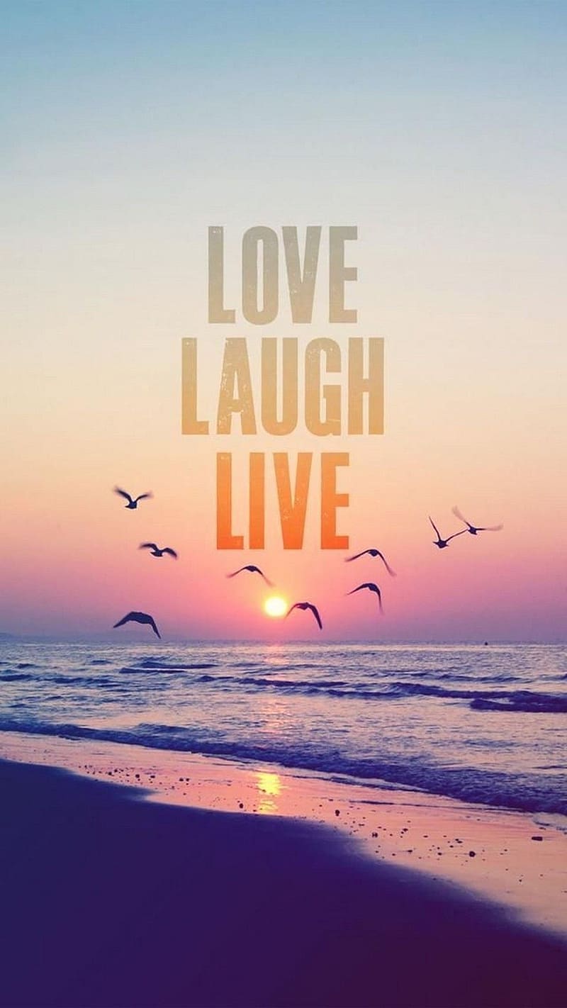 Love Quotes, Love Laugh Live, beach background, birds, HD phone ...