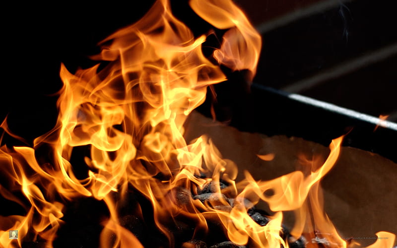 Barbecue Fire, fire, barbacue, flames, food, cook, bbq, HD wallpaper