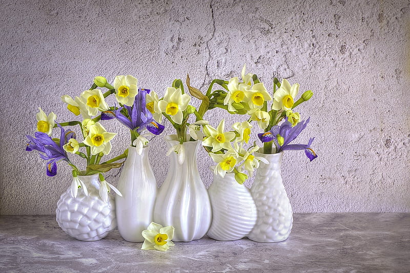 Beautiful Flowers, Spring, Flowers, Irises, Snowdrops, Daffodils, Vase, HD wallpaper