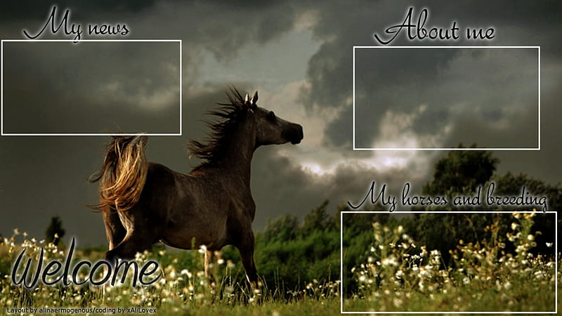 Layout 3, fantasy, horse, Layout, landscape, HD wallpaper