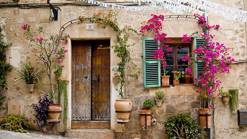 wooden door in majorca, house, pots, window, stone, flowers, wood, door, HD wallpaper