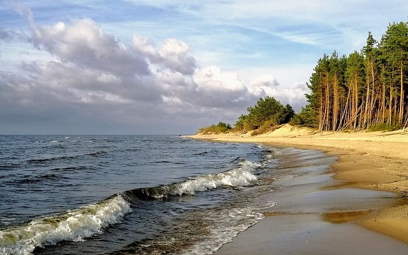 Coast of Latvia, Latvia, sea, forest, beach, coast, HD wallpaper