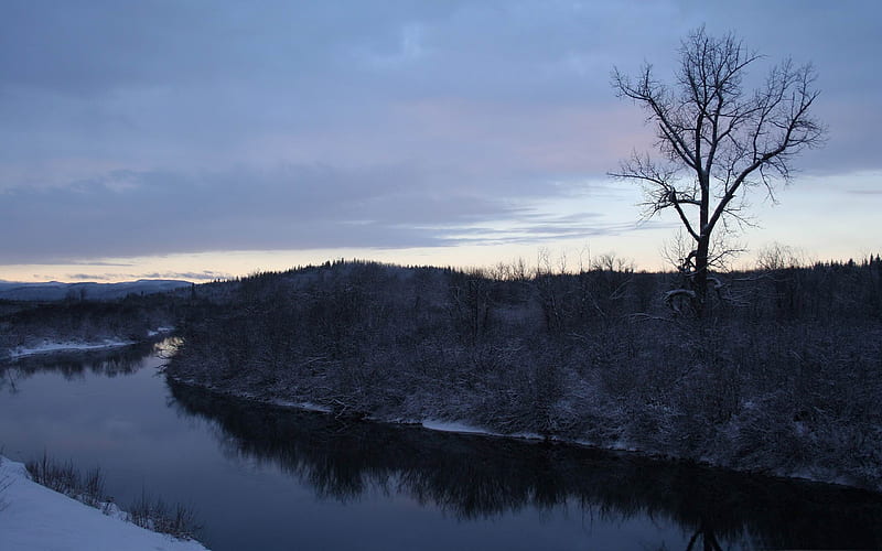 dead calm-Winter natural landscape, HD wallpaper