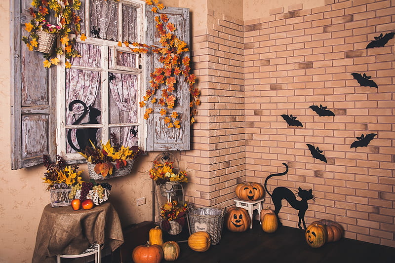 Halloween Decor, Black Cats, Holidays, Pumpkins, Halloween, Nature, HD wallpaper