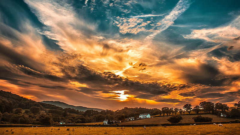 Sunset, orange sky, clouds, house, trees, Landscape, HD wallpaper | Peakpx