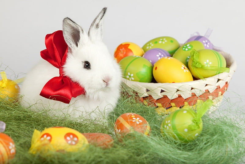 Happy Easter, rabbit, easter eggs, ribbon, adorable, bow, sweet, cute, Easter, eggs, bunny, HD wallpaper